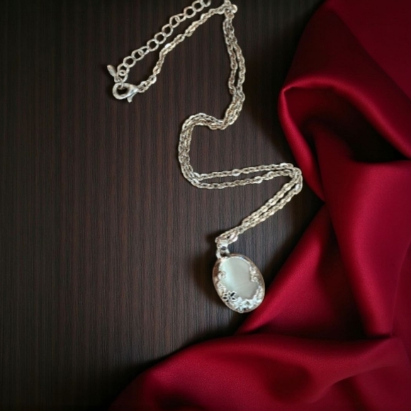 Jewelry - Powerful Cat's Eye Pendant On 18" Silver-tone Necklace